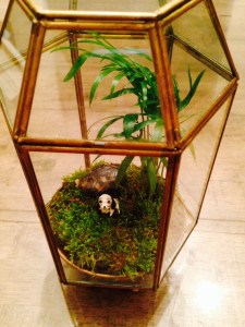 Dog terrarium